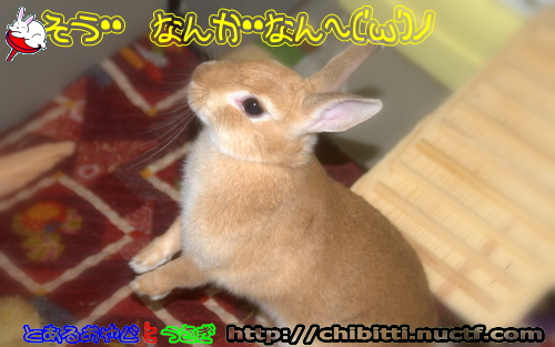 画像クリックで拡大します