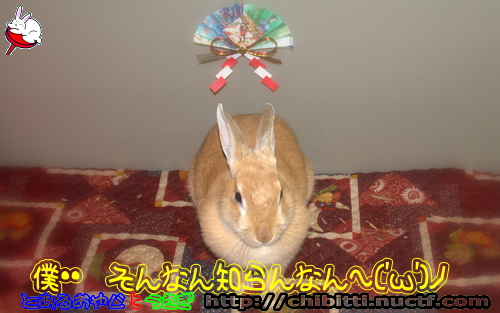 画像クリックで拡大します