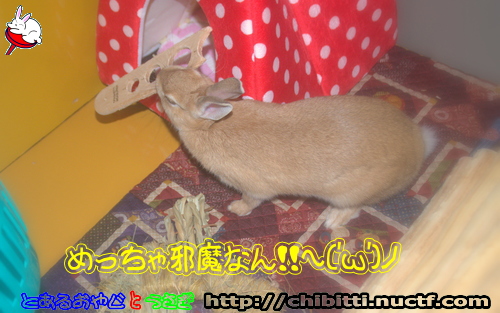 画像クリックで拡大します