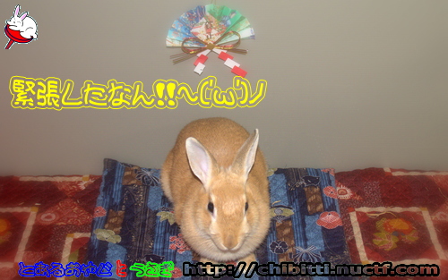 画像クリックで拡大します