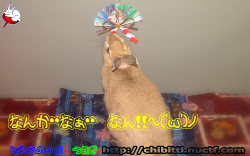 画像クリックで拡大します