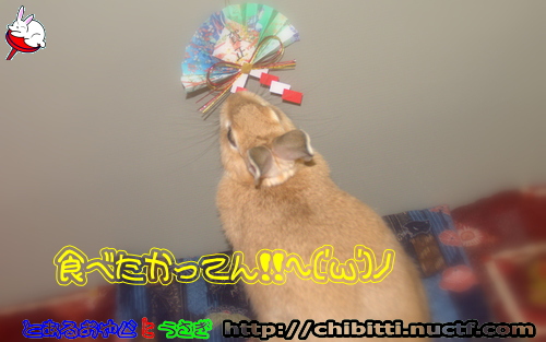 画像クリックで拡大します