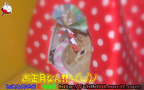 画像クリックで拡大します
