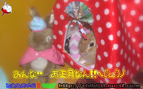 画像クリックで拡大します