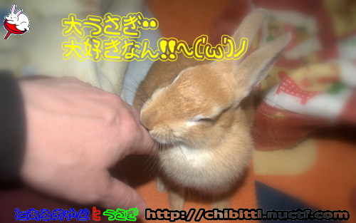 画像クリックで拡大します