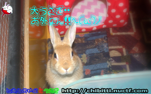 画像クリックで拡大します