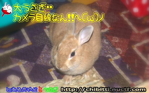 画像クリックで拡大します