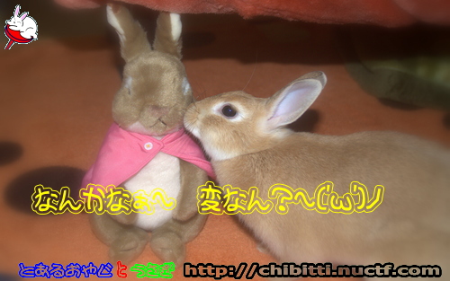 画像クリックで拡大します