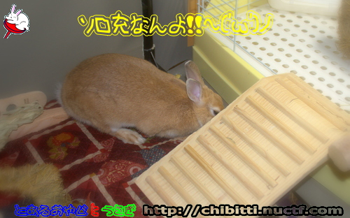 画像クリックで拡大します