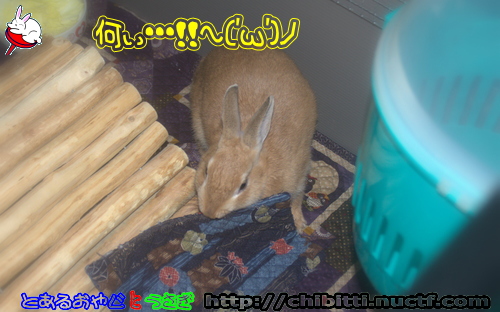 画像クリックで拡大します
