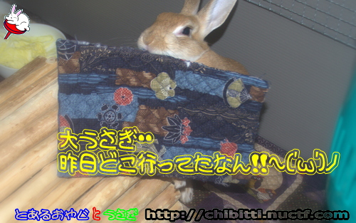 画像クリックで拡大します