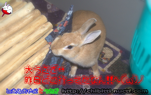 画像クリックで拡大します