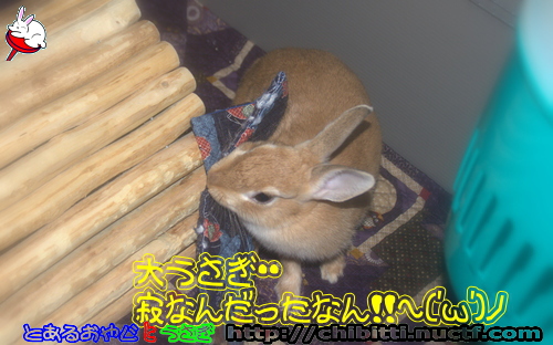 画像クリックで拡大します