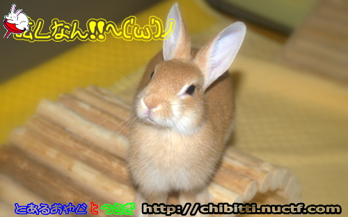 画像クリックで拡大します