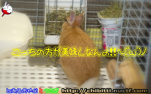 画像クリックで拡大します