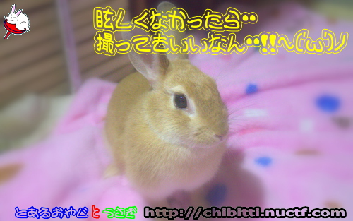 画像クリックで拡大します