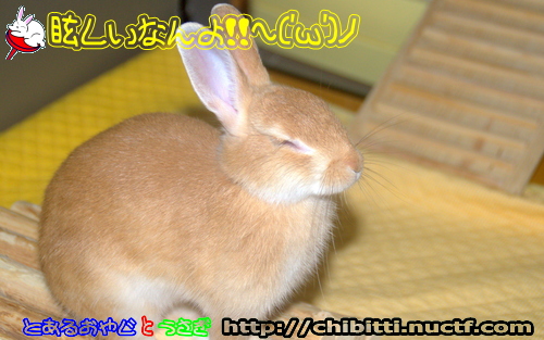 画像クリックで拡大します