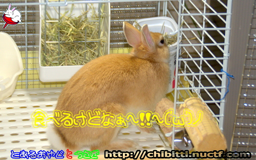 画像クリックで拡大します