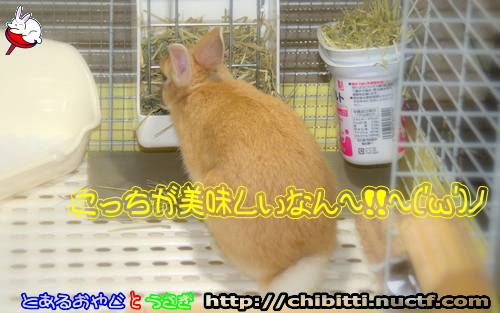 画像クリックで拡大します