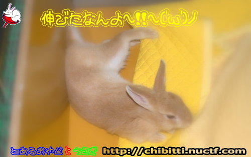 画像クリックで拡大します