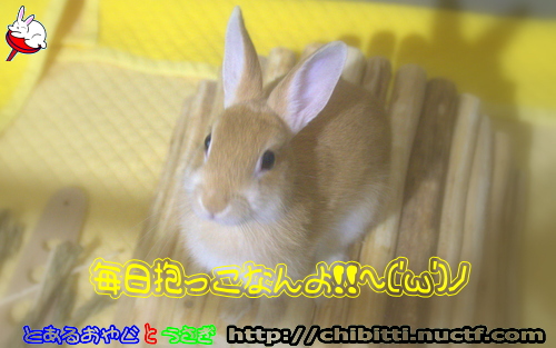 画像クリックで拡大します