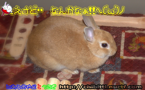 画像クリックで拡大します