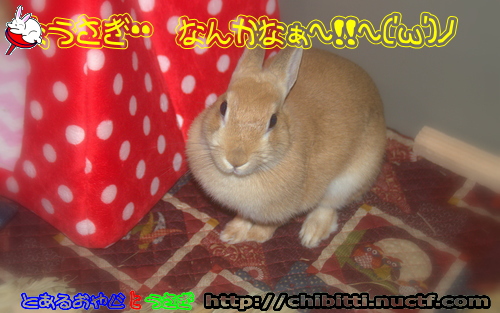 画像クリックで拡大します