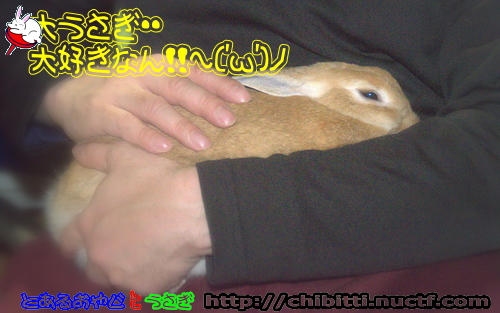 画像クリックで拡大します