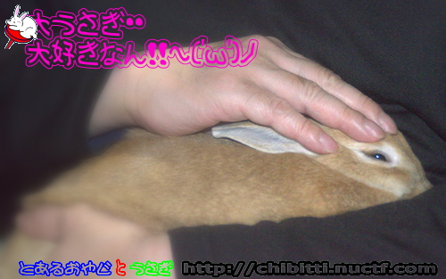 画像クリックで拡大します