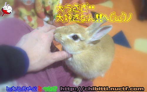 画像クリックで拡大します