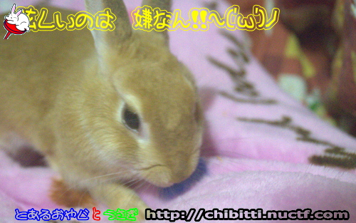 画像クリックで拡大します