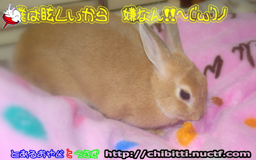 画像クリックで拡大します