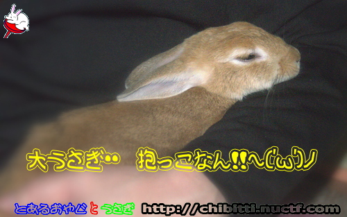画像クリックで拡大します