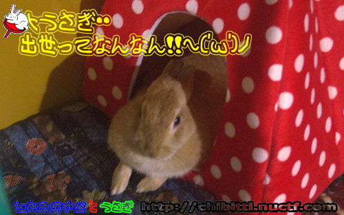 画像クリックで拡大します