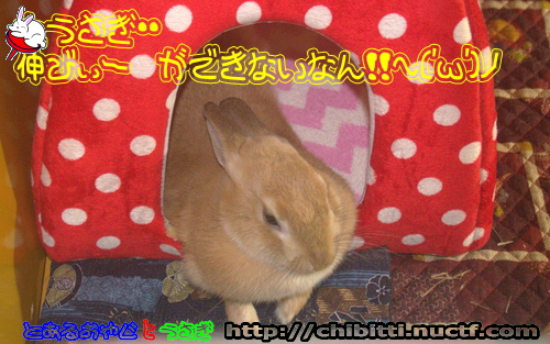画像クリックで拡大します