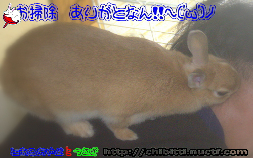 画像クリックで拡大します