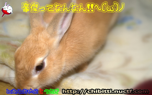 画像クリックで拡大します