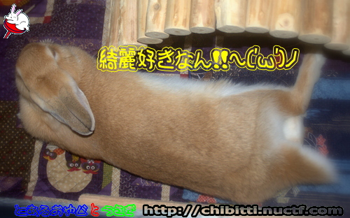 画像クリックで拡大します