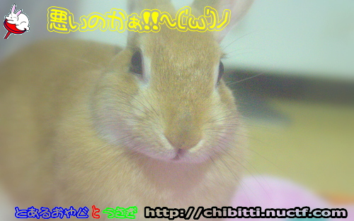 画像クリックで拡大します
