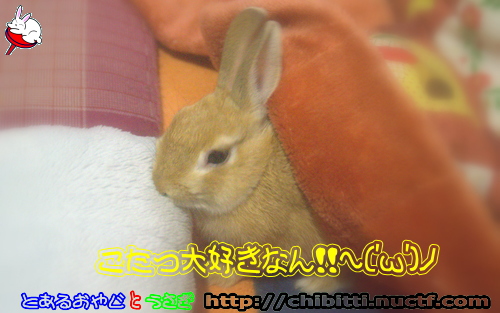 画像クリックで拡大します