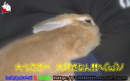 画像クリックで拡大します