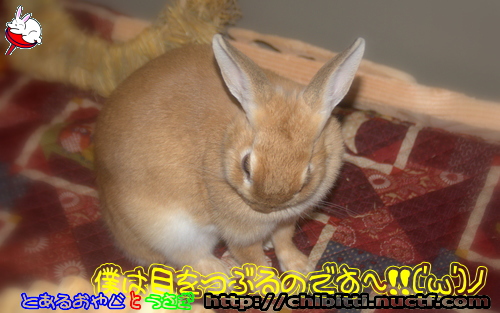 画像クリックで拡大します