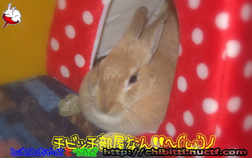 画像クリックで拡大します