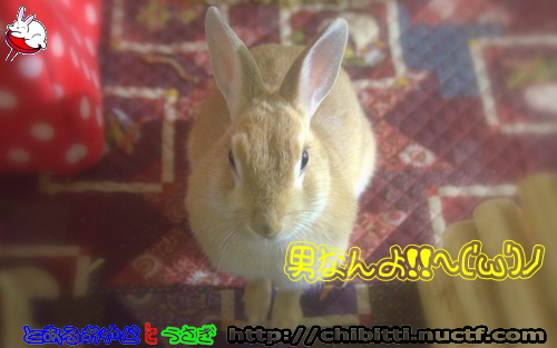 画像クリックで拡大します