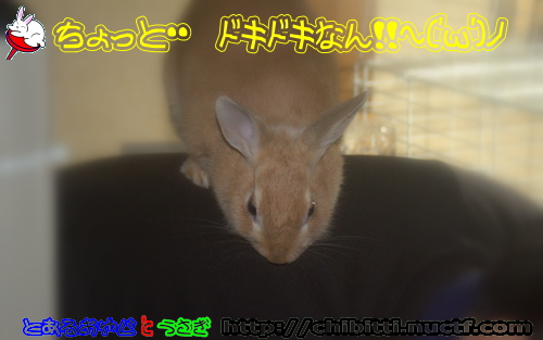 画像クリックで拡大します