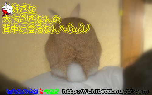 画像クリックで拡大します