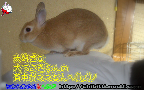 画像クリックで拡大します