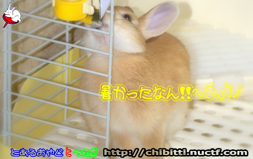 画像クリックで拡大します