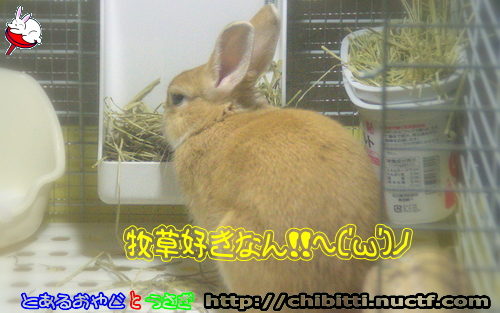 画像クリックで拡大します