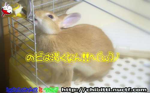 画像クリックで拡大します